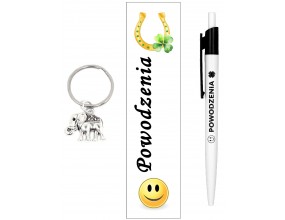 ZESTAW DŁUGOPIS ZAKŁADKA BRELOK PREZENT ZAKOŃCZENIE ROKU UCZEŃ MATURA SŁOŃ
